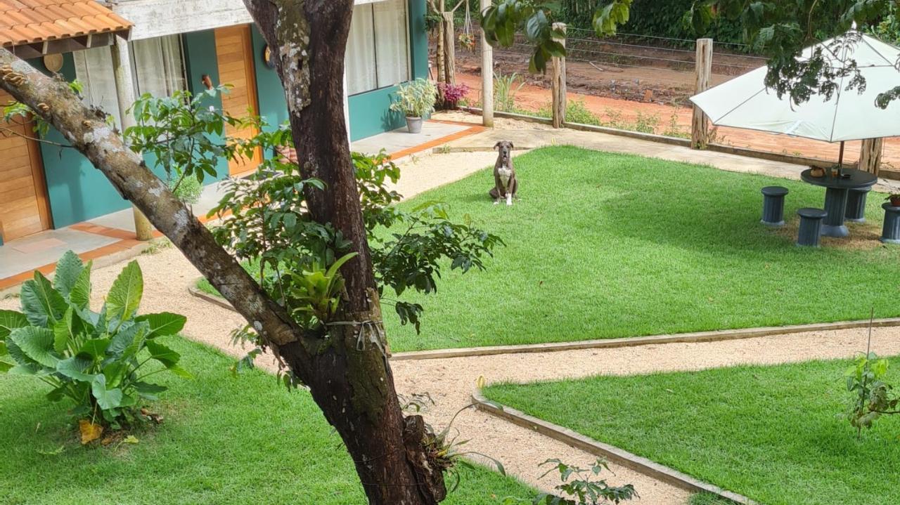 Casa Saimiri Hotel Alter do Chão Ngoại thất bức ảnh